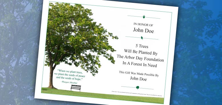 Rhone Funeral Home Plant a Memorial Tree