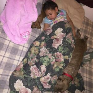 madysyn rials Gallery