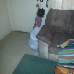 madysyn rials Gallery