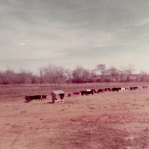 bobby huffman Gallery