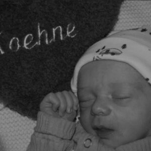 koehne oliveira-vaden Gallery