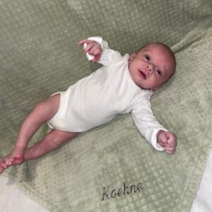 koehne oliveira-vaden Gallery