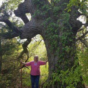 jeanne smith Gallery