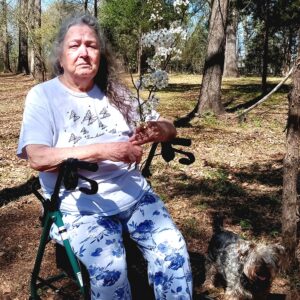 jeanne smith Gallery