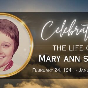 ann sparks Gallery