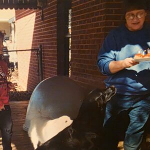 ann sparks Gallery