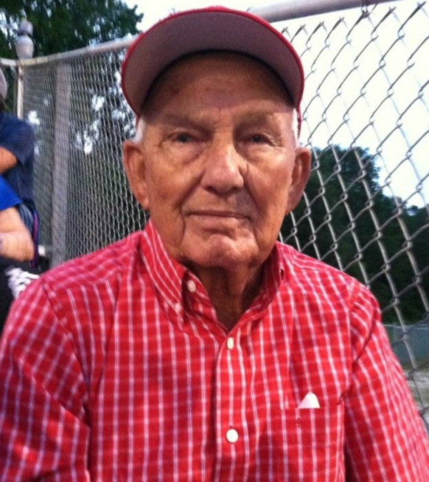 charles bridges