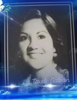 taide galvan castillo